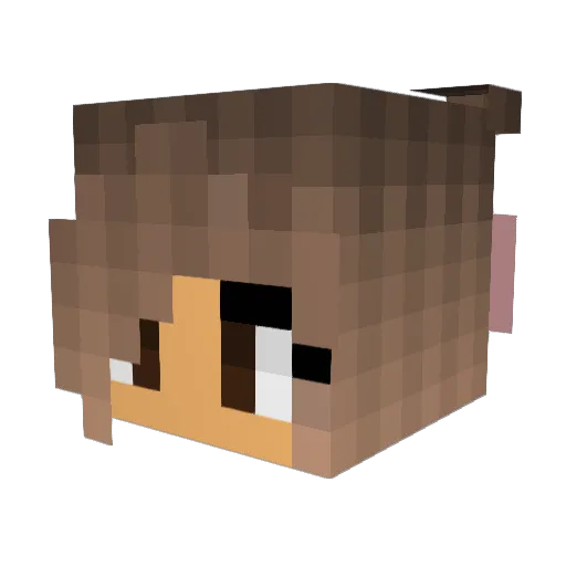 Snowlets Minecraft avatar head, 3D render
