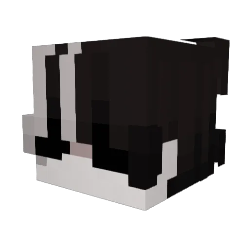 Snowlionxx Minecraft avatar head, 3D render