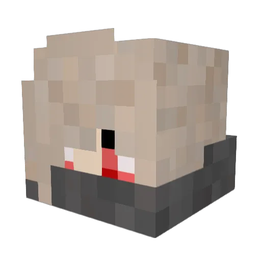 Snowlox Minecraft avatar head, 3D render