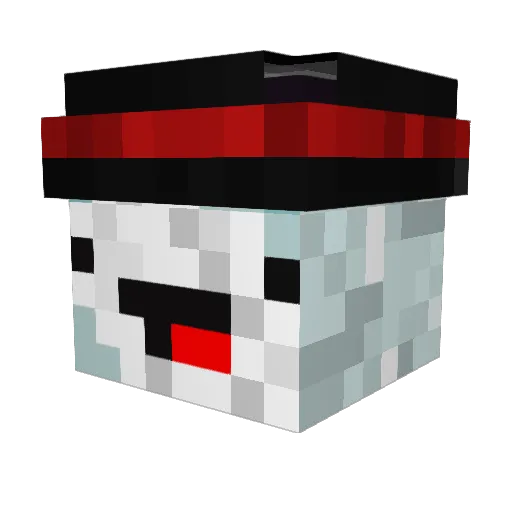 Snowman3131313 Minecraft avatar head, 3D render