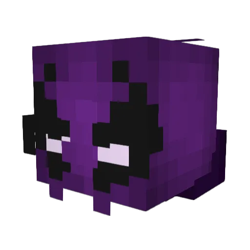 Snowmeers Minecraft avatar head, 3D render