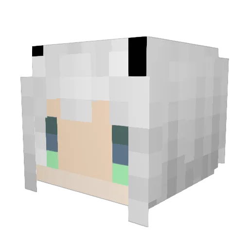 Snownight_Fox Minecraft avatar head, 3D render
