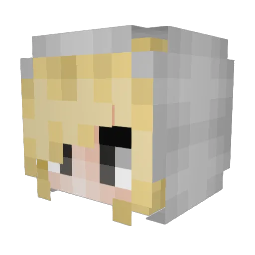 Snowool31 Minecraft avatar head, 3D render