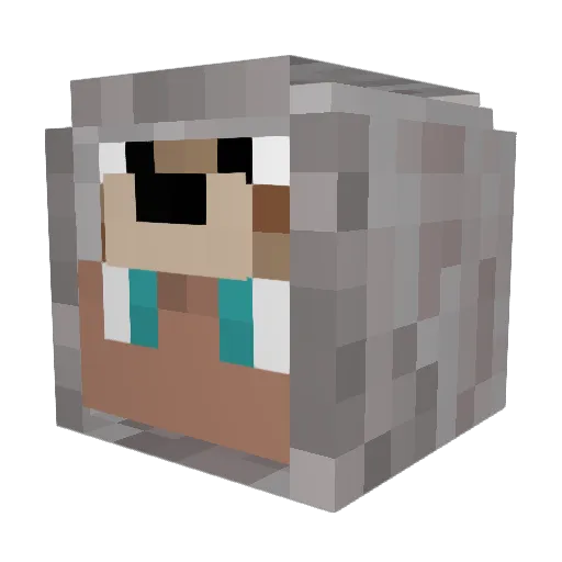 Snowpaw2008 Minecraft avatar head, 3D render