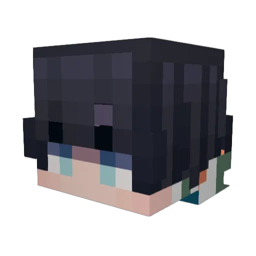 Snowshard1 Minecraft avatar head, 3D render