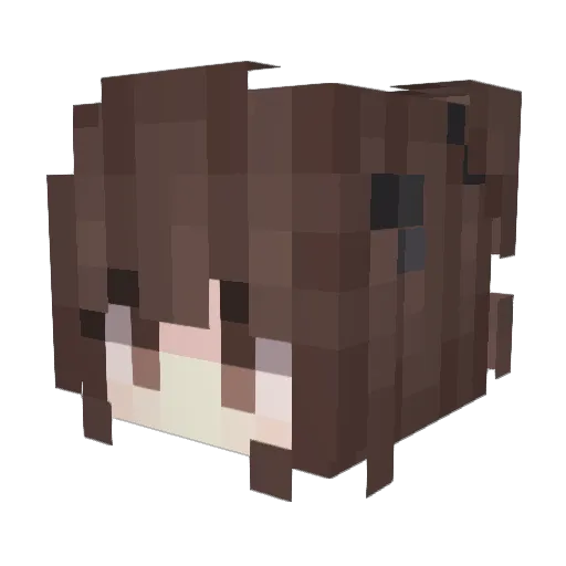 Snowshard202 Minecraft avatar head, 3D render