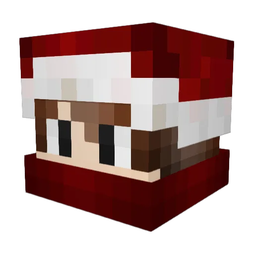 SnowstepFTW Minecraft avatar head, 3D render