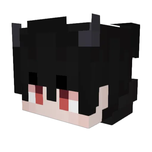 Snowwfn Minecraft avatar head, 3D render