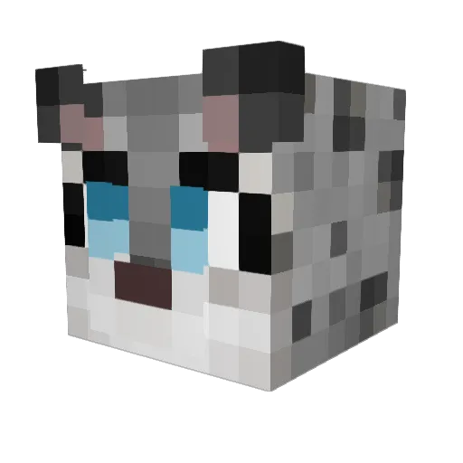 Snowwss Minecraft avatar head, 3D render