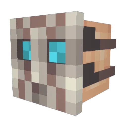 Snowxreaper Minecraft avatar head, 3D render