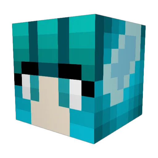 Snowy1208 Minecraft avatar head, 3D render