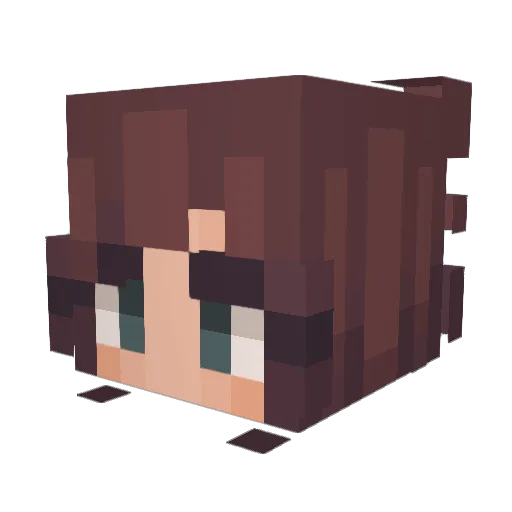 Snowy1234598 Minecraft avatar head, 3D render