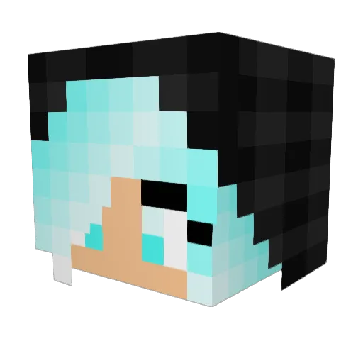Snowy1860 Minecraft avatar head, 3D render