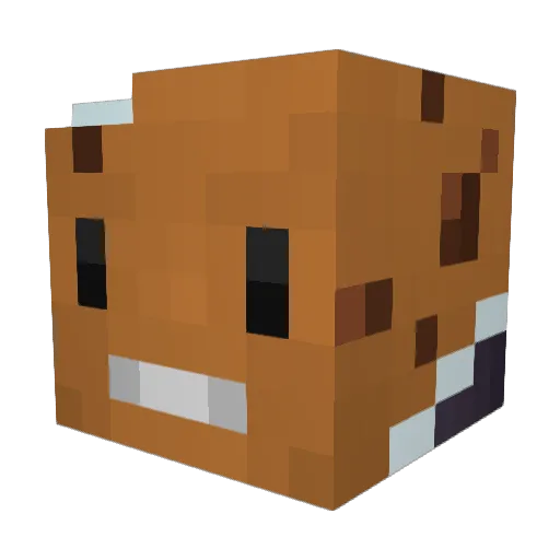 Snowy1944 Minecraft avatar head, 3D render