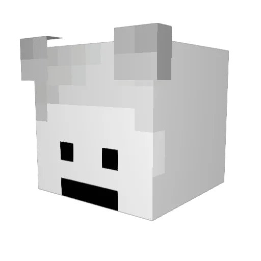 Snowy2217 Minecraft avatar head, 3D render