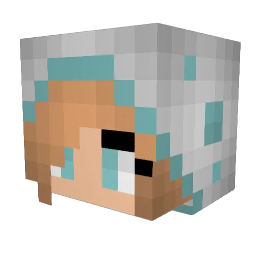 Snowy24598 Minecraft avatar head, 3D render