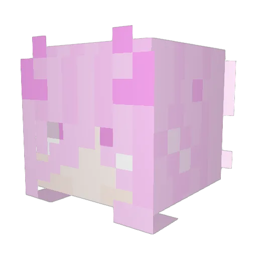 Snowy350 Minecraft avatar head, 3D render