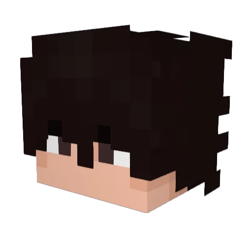 SnowyDragon2769 Minecraft avatar head, 3D render