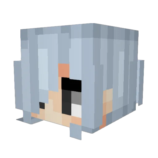 SnowyHamster08 Minecraft avatar head, 3D render