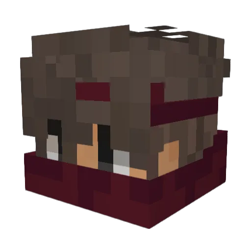 SnowyHetAapje Minecraft avatar head, 3D render