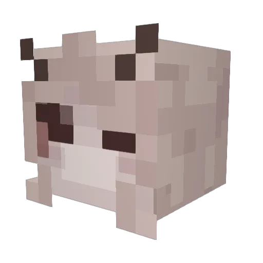 SnowyIceberg Minecraft avatar head, 3D render