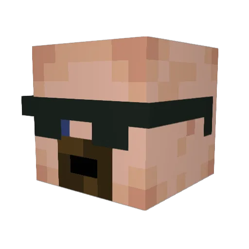 SnowyKitten1 Minecraft avatar head, 3D render