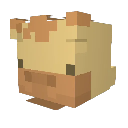 SnowyMoose3806 Minecraft avatar head, 3D render