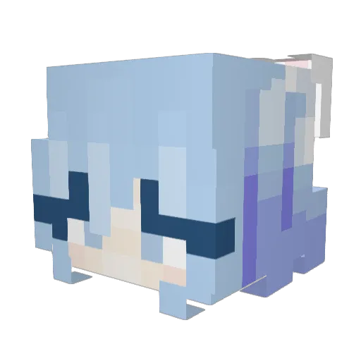 SnowySnowball25 Minecraft avatar head, 3D render