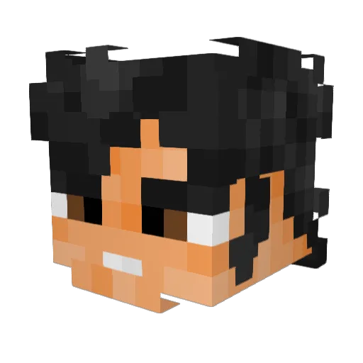 SnowyStalker123 Minecraft avatar head, 3D render