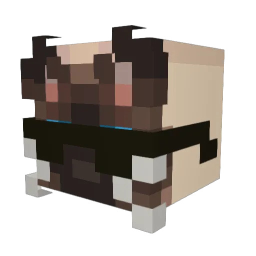 SnowyWeather Minecraft avatar head, 3D render