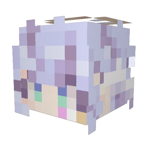SnowyWinterWish Minecraft avatar head, 3D render