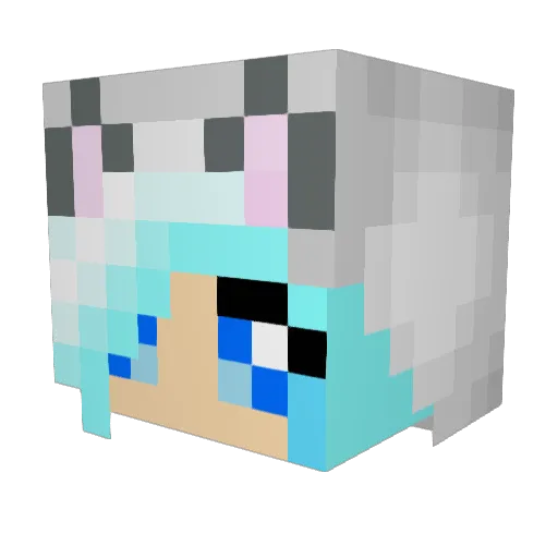 SnowyWolfy Minecraft avatar head, 3D render