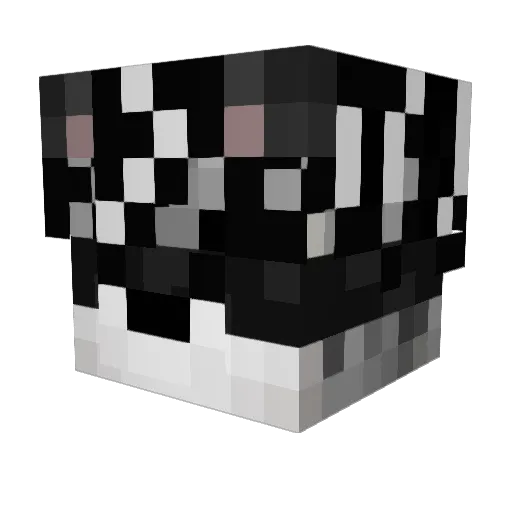 Snowy_Bunny28 Minecraft avatar head, 3D render