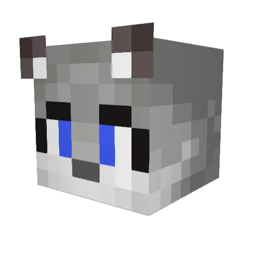 Snowy_Huskies Minecraft avatar head, 3D render