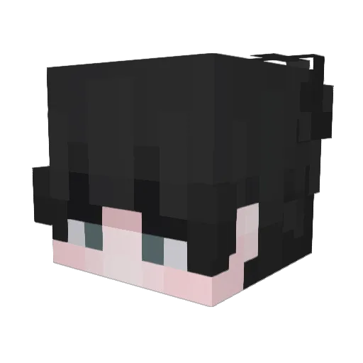 Snowyfi Minecraft avatar head, 3D render