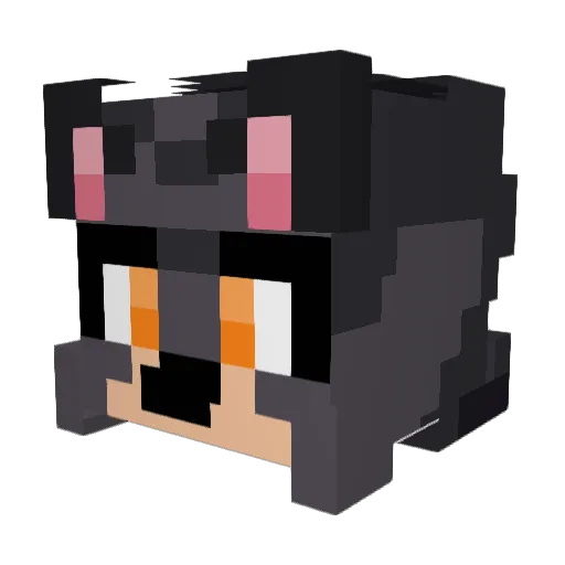 Snowymoose92 Minecraft avatar head, 3D render