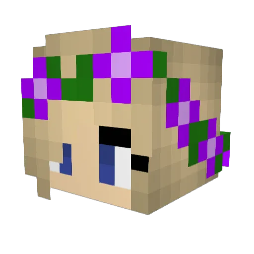 Snowypenguin360 Minecraft avatar head, 3D render