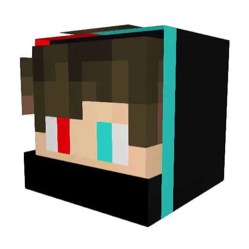 Snox14 Minecraft avatar head, 3D render