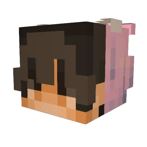 SnoxOnTT Minecraft avatar head, 3D render