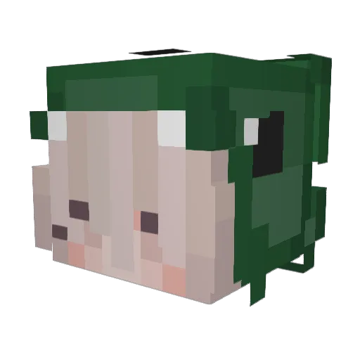 Snoxsuni Minecraft avatar head, 3D render