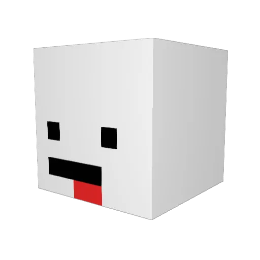 Snoxy09 Minecraft avatar head, 3D render