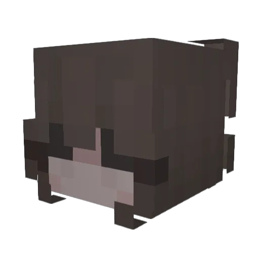 Snqpy Minecraft avatar head, 3D render