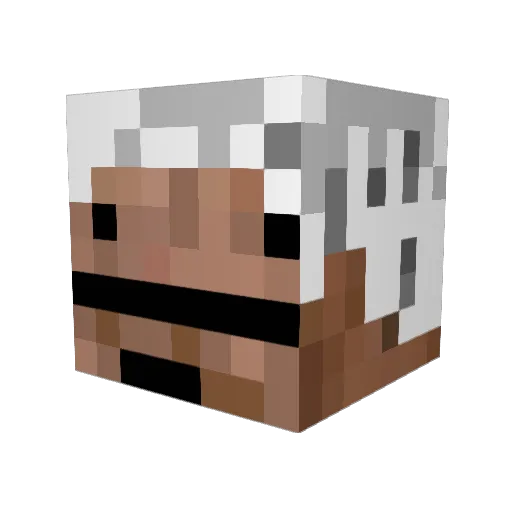 Snr0be Minecraft avatar head, 3D render