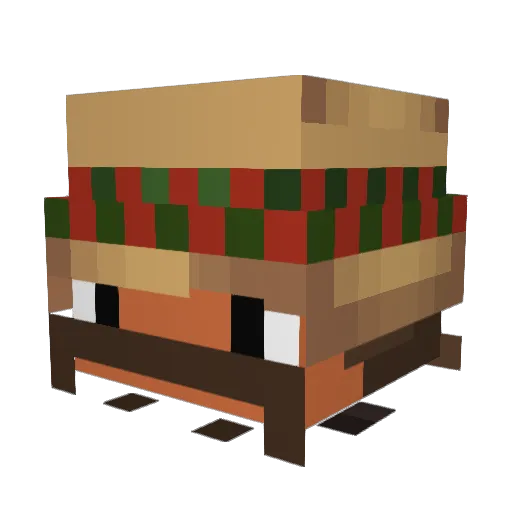 SnrBurrito Minecraft avatar head, 3D render