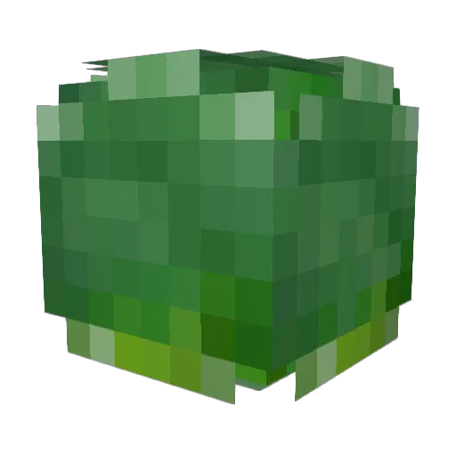 Snr_Tea Minecraft avatar head, 3D render
