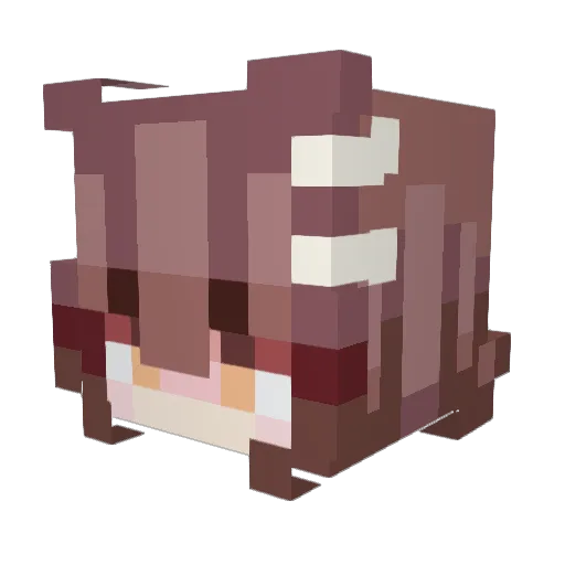 Snuccubus Minecraft avatar head, 3D render