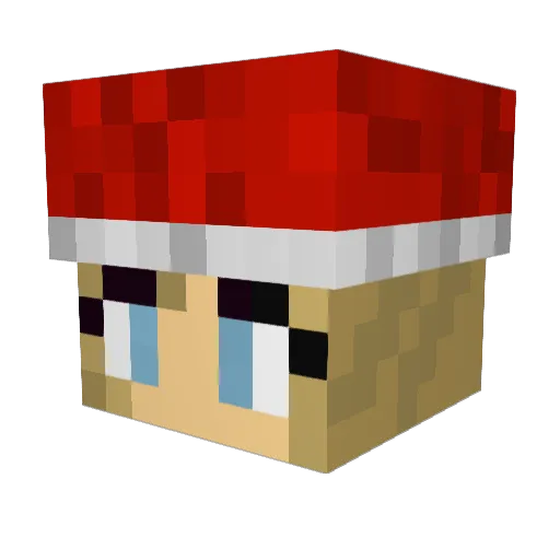 Snuffer_Sis Minecraft avatar head, 3D render