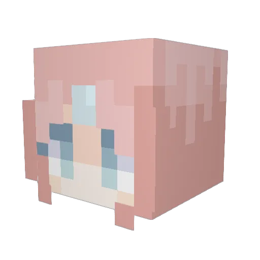 Snufflex_ Minecraft avatar head, 3D render