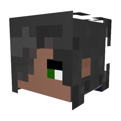 Snufflytapir Minecraft avatar head, 3D render