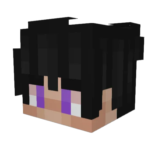 Snug7786 Minecraft avatar head, 3D render
